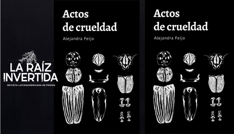 Actos de crueldad - Alejandra Feijo